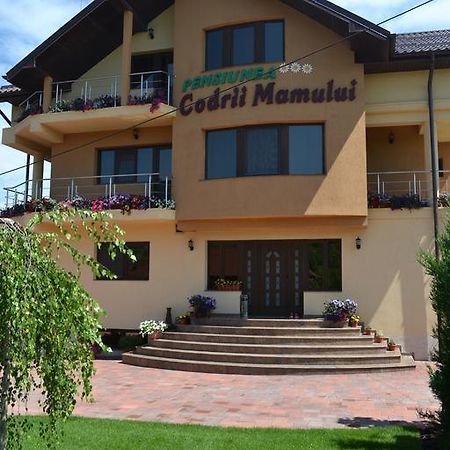 Pensiunea Codrii Mamului Lungesti Экстерьер фото